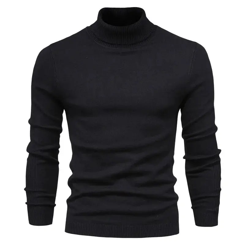 Merino Royal Turtleneck FERNACHE
