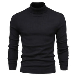 Merino Royal Turtleneck FERNACHE