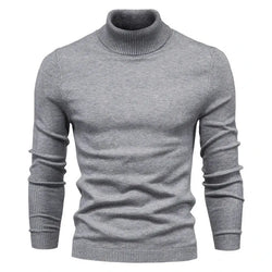 Merino Royal Turtleneck FERNACHE