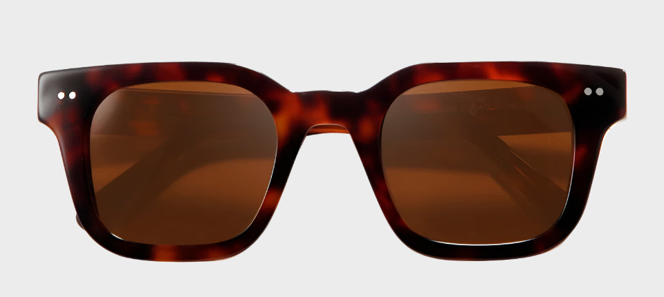 Polarized Sunglasses Large