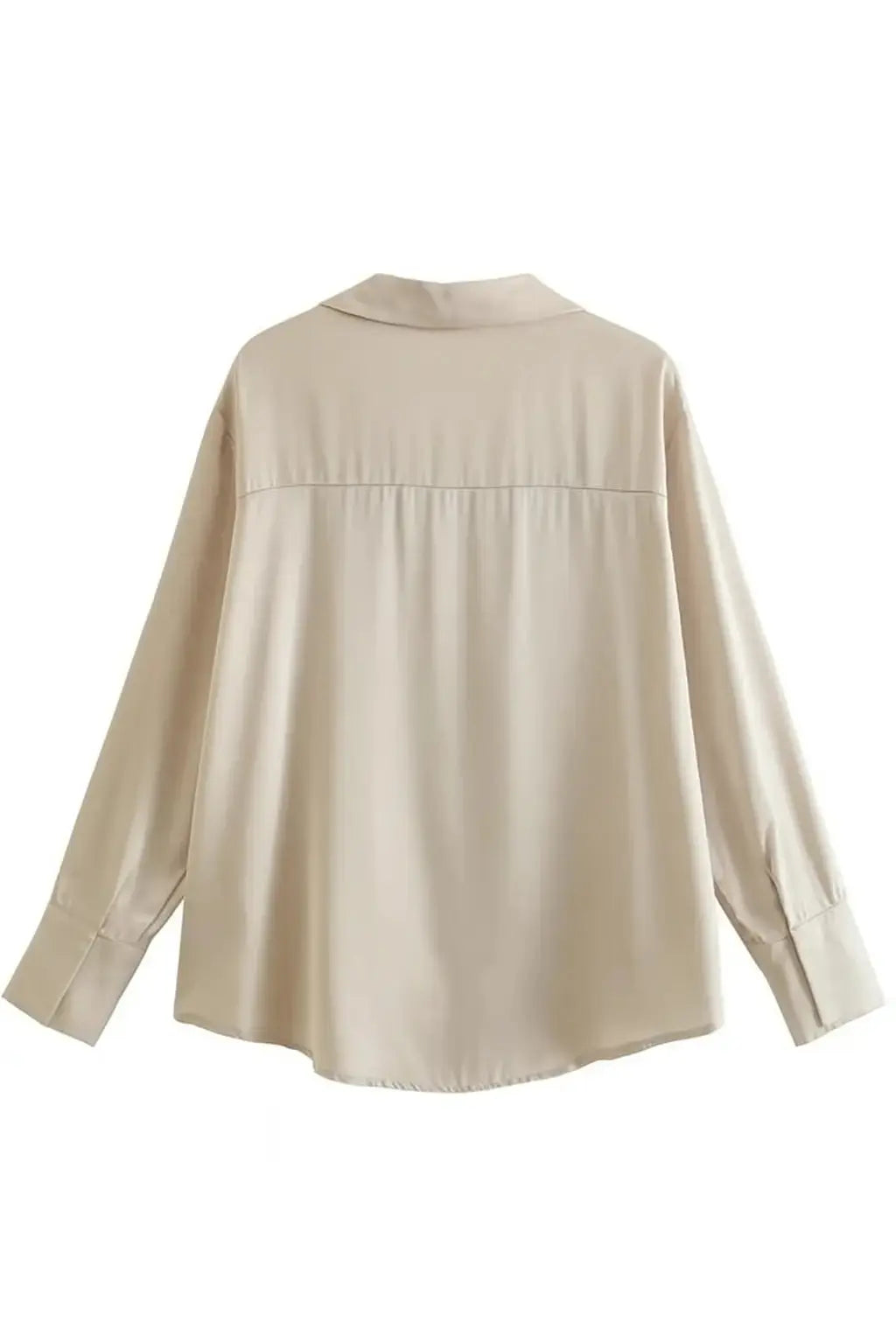 Back view of Elegant Satin Blouse, full view