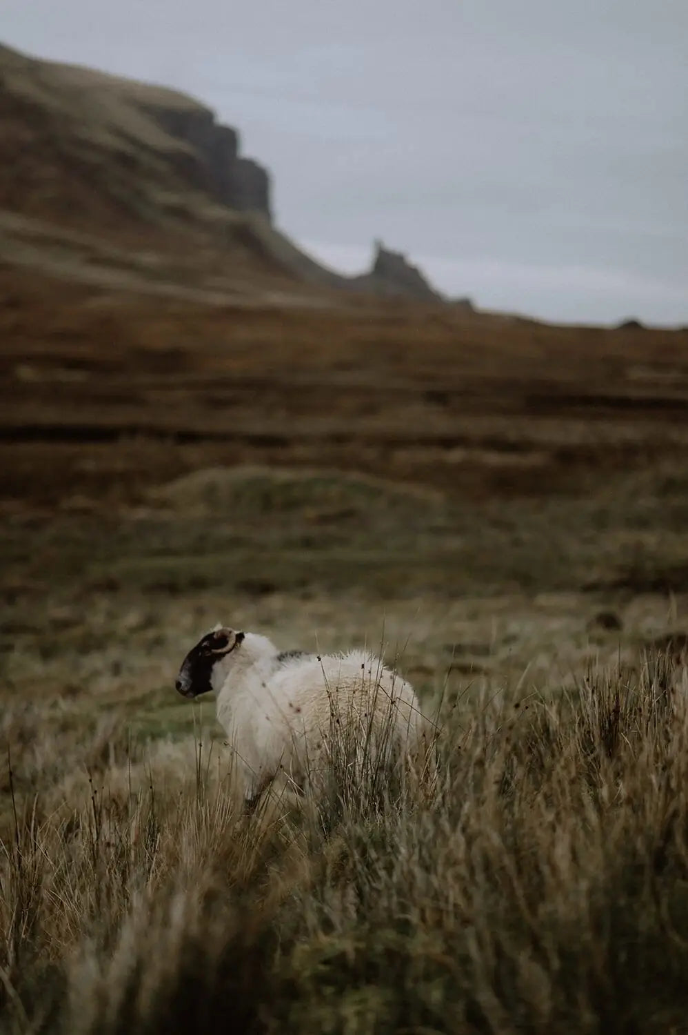 FERNACHE Old Money aesthetic – natural wool and Scandinavian countryside inspiration.