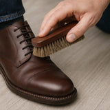 Horse Hair Shoe Brush shown in a lifestyle setting