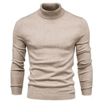 Front view of Beige Merino Royal Turtleneck