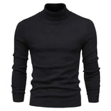 Front view of Black Merino Royal Turtleneck